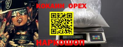 МДПВ Кингисепп