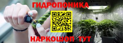 МДПВ Кингисепп