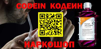МДПВ Кингисепп